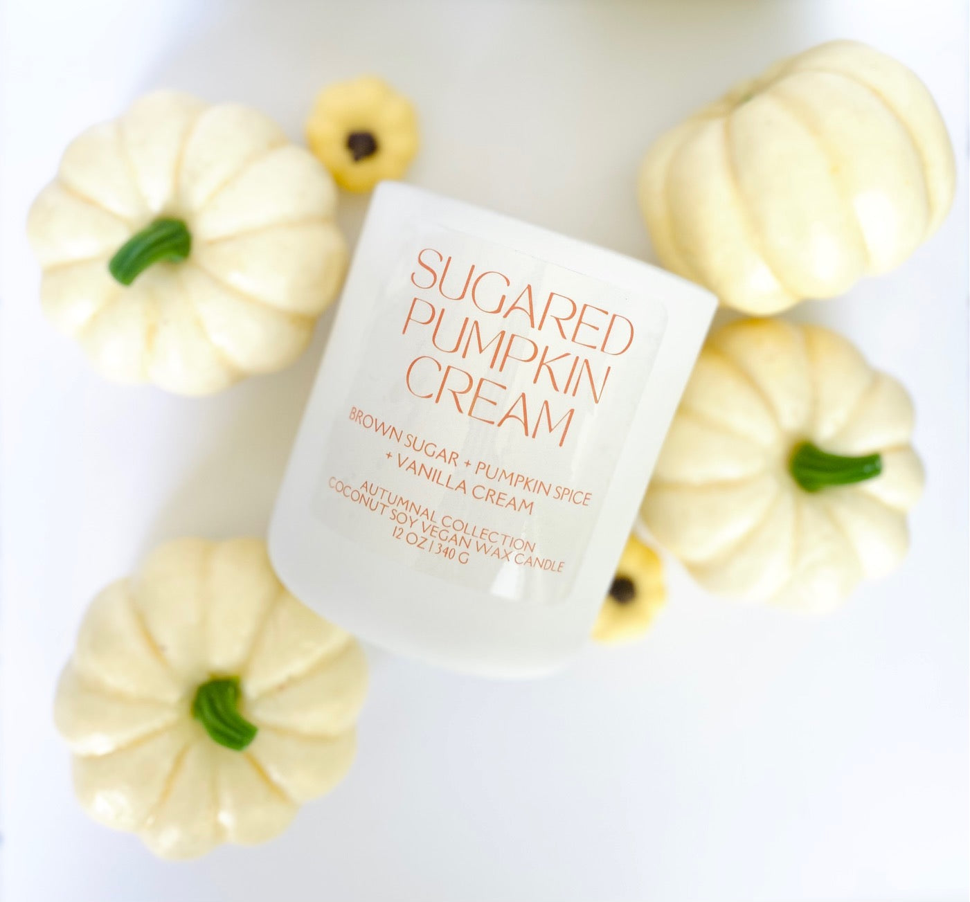 SUGARED PUMPKIN CREAM